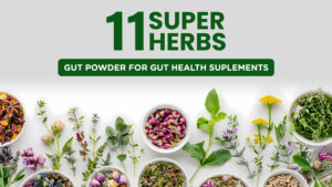 Gut Powder Gut Health Supplements