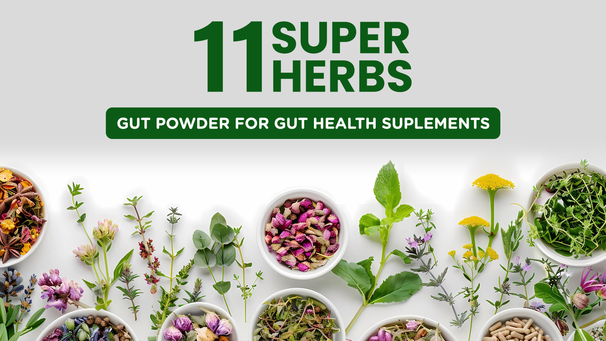 Gut Powder Gut Health Supplements