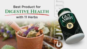 Best product for digestive health Boost metabolism naturally