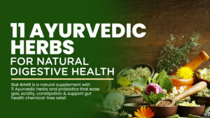Gut repair supplement