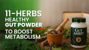 Healthy Gut Powder Boost Metabolism