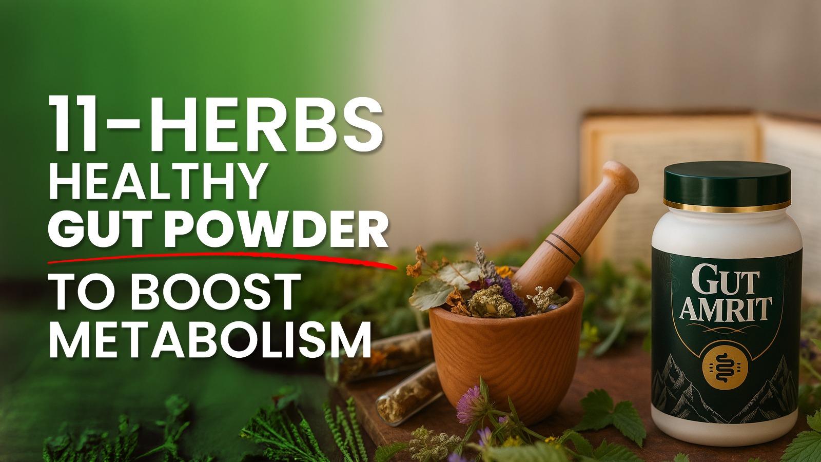 Healthy Gut Powder Boost Metabolism